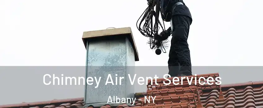  Chimney Air Vent Services Albany - NY
