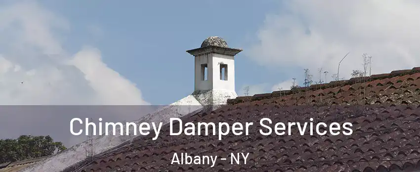  Chimney Damper Services Albany - NY