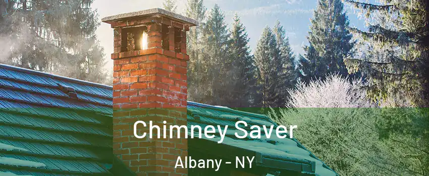  Chimney Saver Albany - NY
