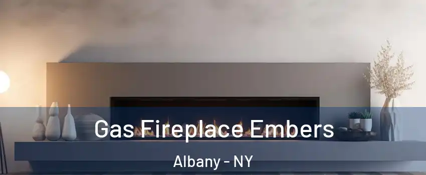  Gas Fireplace Embers Albany - NY