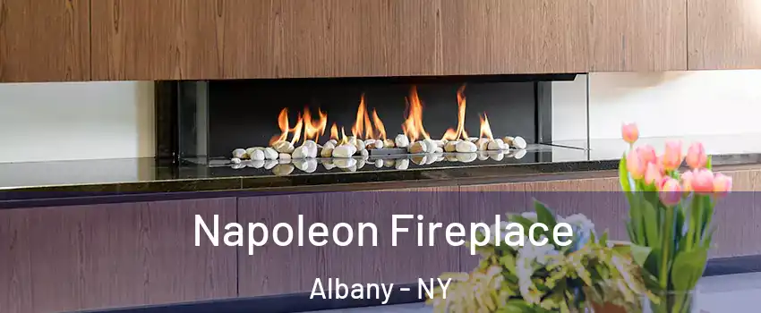  Napoleon Fireplace Albany - NY
