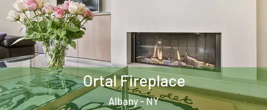 Ortal Fireplace Albany - NY